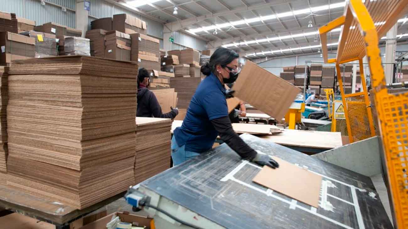 TRABAJOSENFABRICASDECARTON
